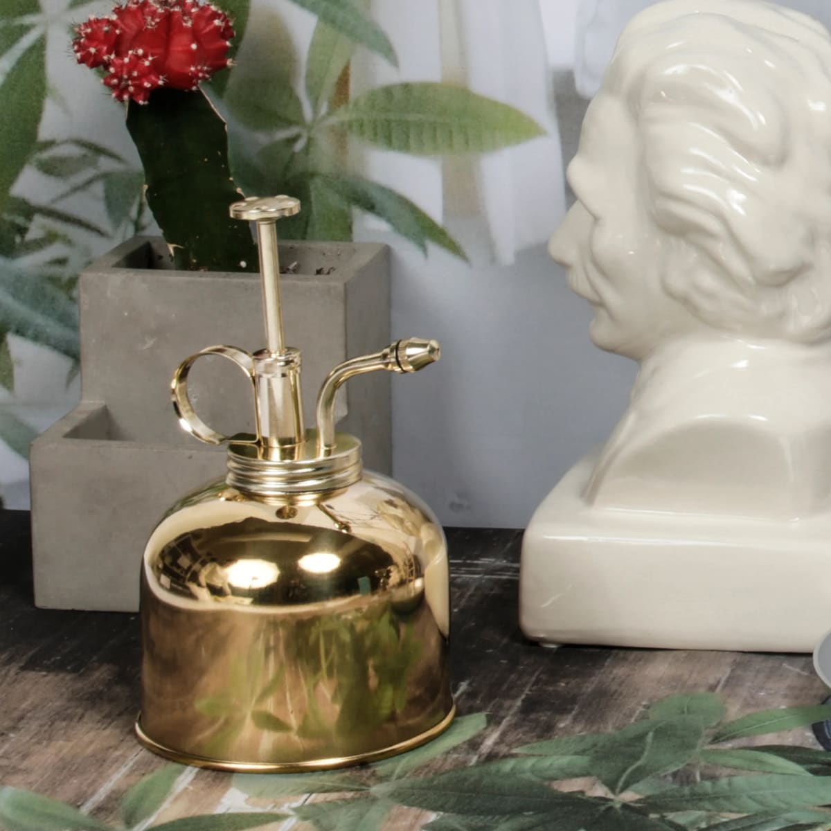 Mister De Plantas Kikkerland  De Bronce2