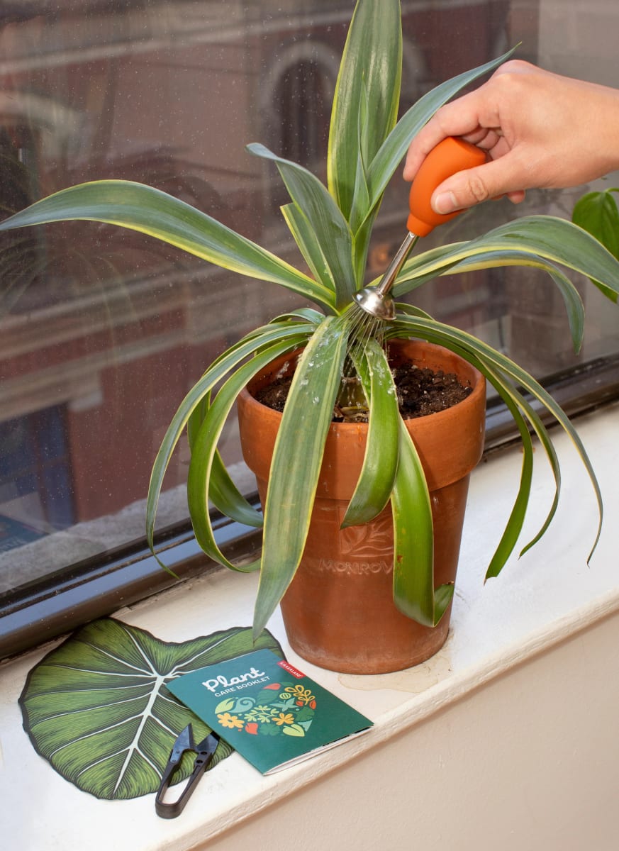 Kit De Cuidado Kikkerland De Plantas3