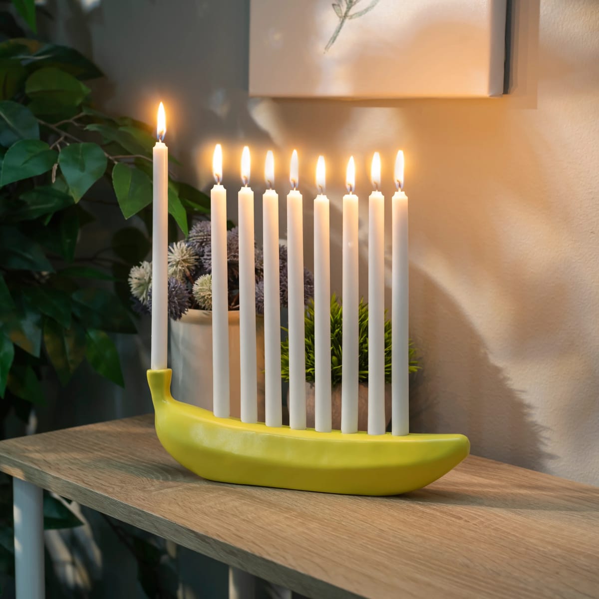 Banorah Kikkerland4
