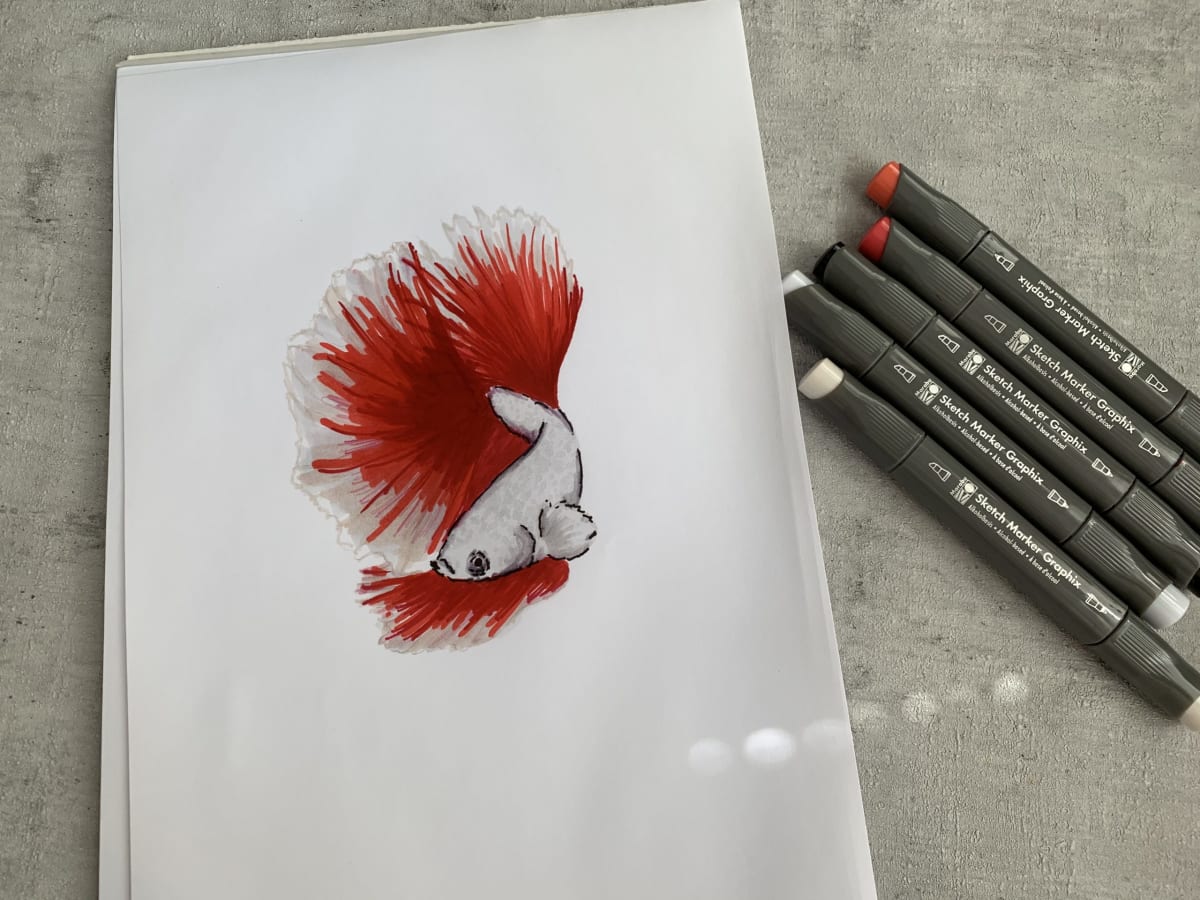 Marabu SketchMarker 6 unidades Base alcohol - Alpha3