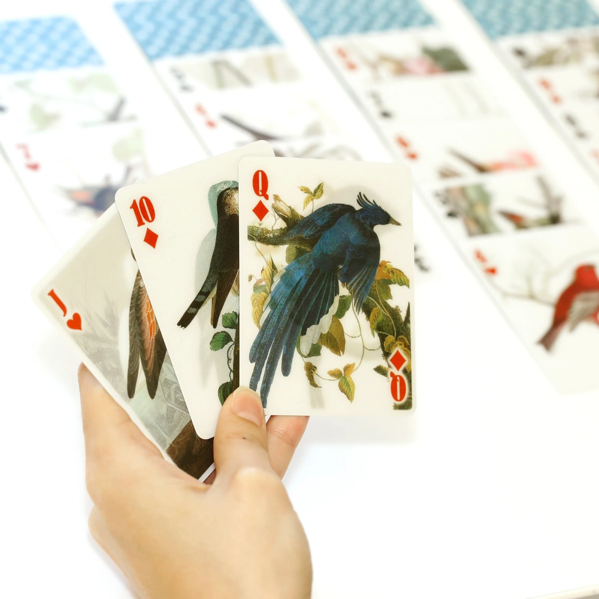 Cartas Kikkerland De Juego 3D De Pájaros2