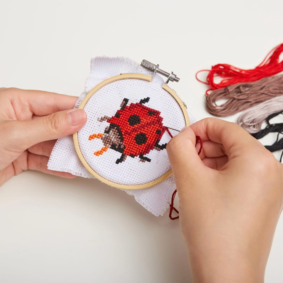 Mini Kit Kikkerland  De Bordado Punto Cruz Ladybug3