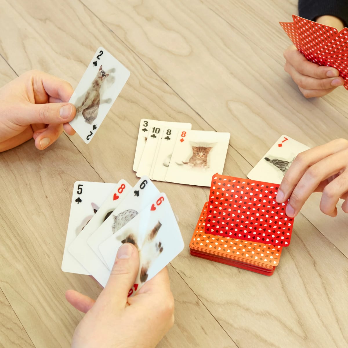 Juego de Cartas Kikkerland  3D De Gatos3