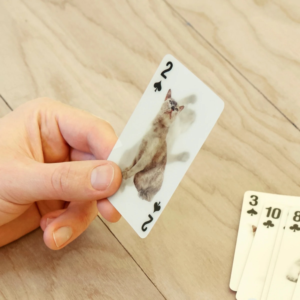 Juego de Cartas Kikkerland  3D De Gatos4