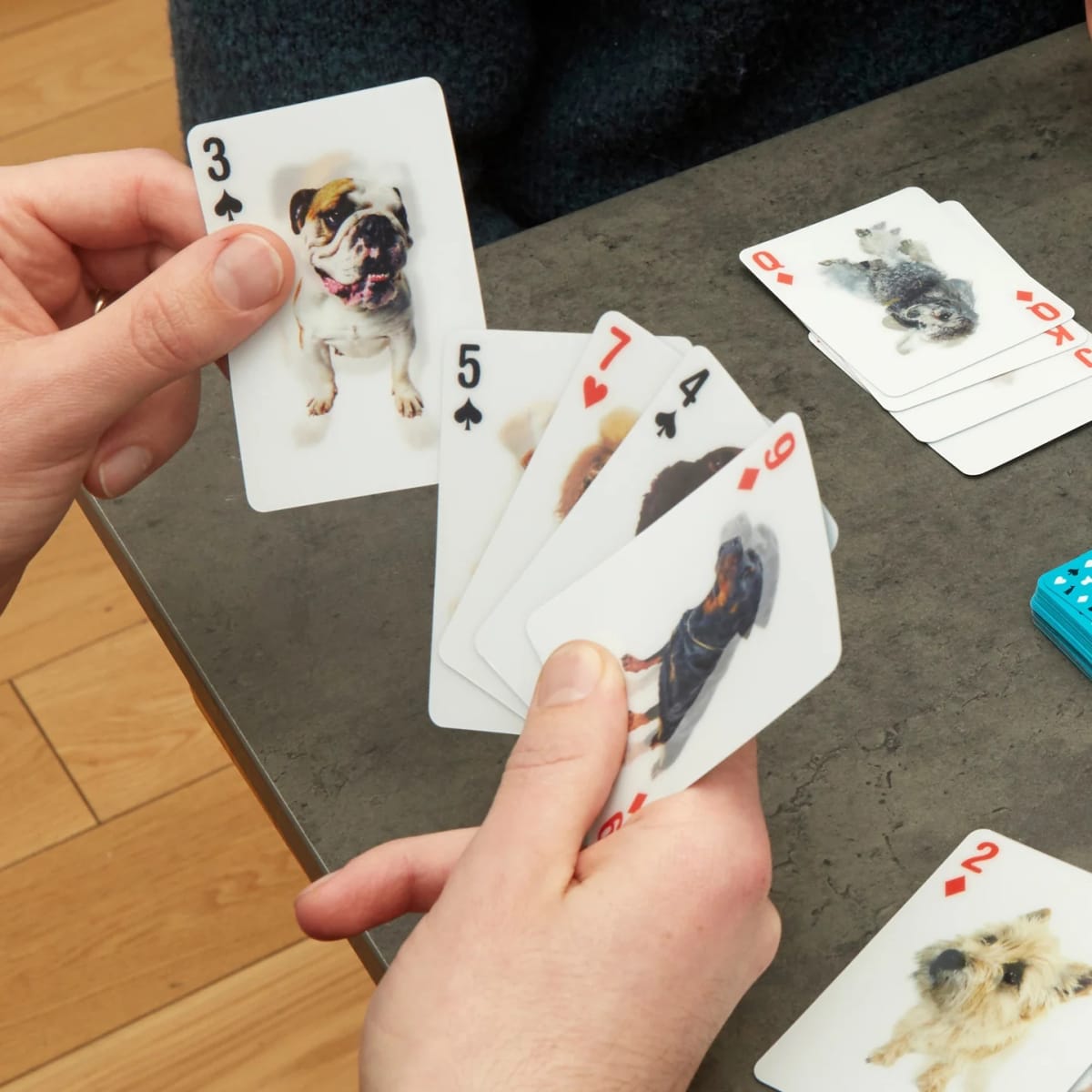 Juego de Cratas Kikkerland  3D De Perros4