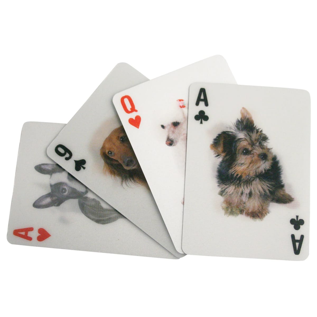 Juego de Cratas Kikkerland  3D De Perros1