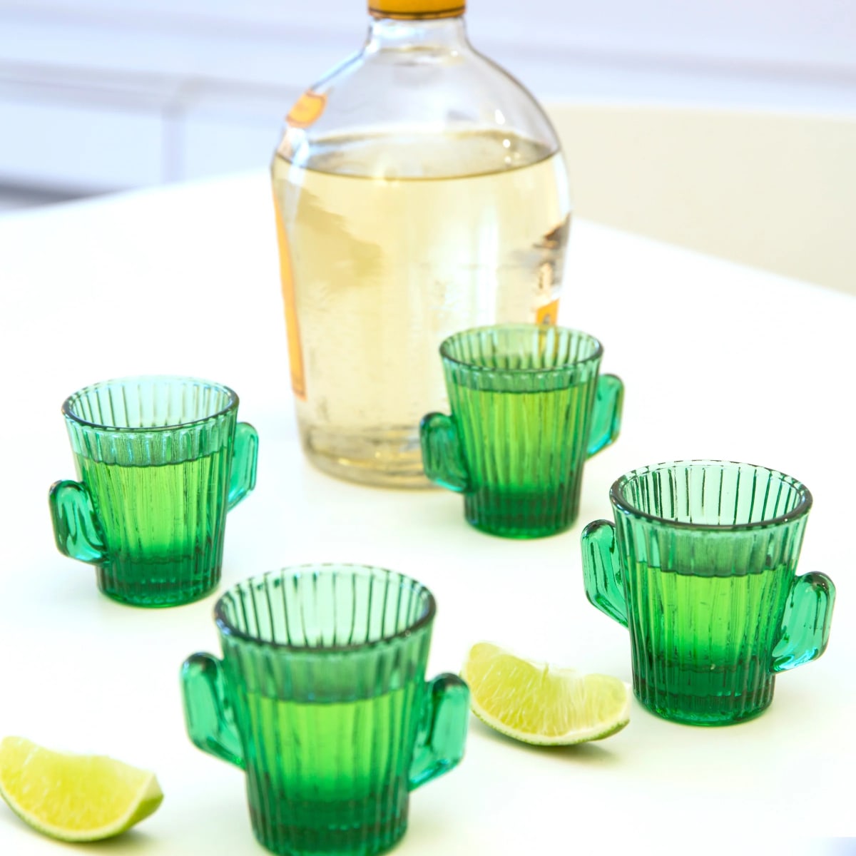 Vasos Kikkerland De Cactus S/42