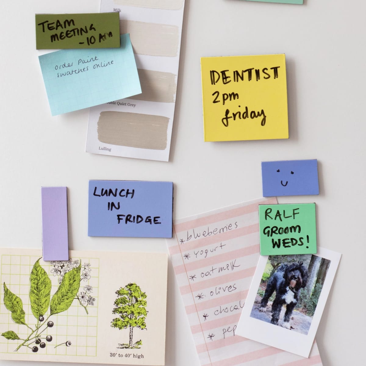 Imanes Kikkerland Memo3