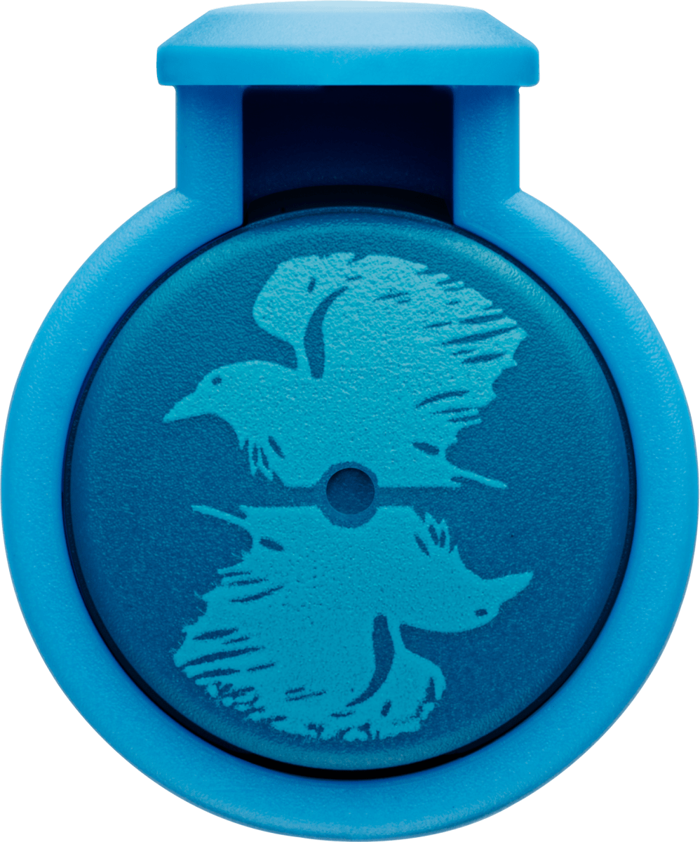 Pluma LAMY nexx Rave M5