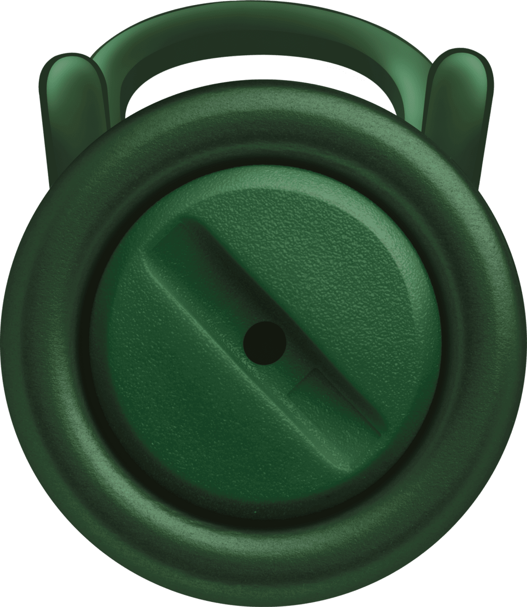 Roller Lamy AL-star Pine11