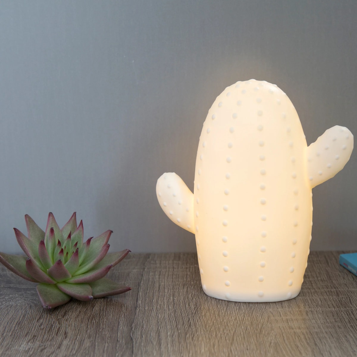 Luz Led  Kikkerland Cactus Grande2
