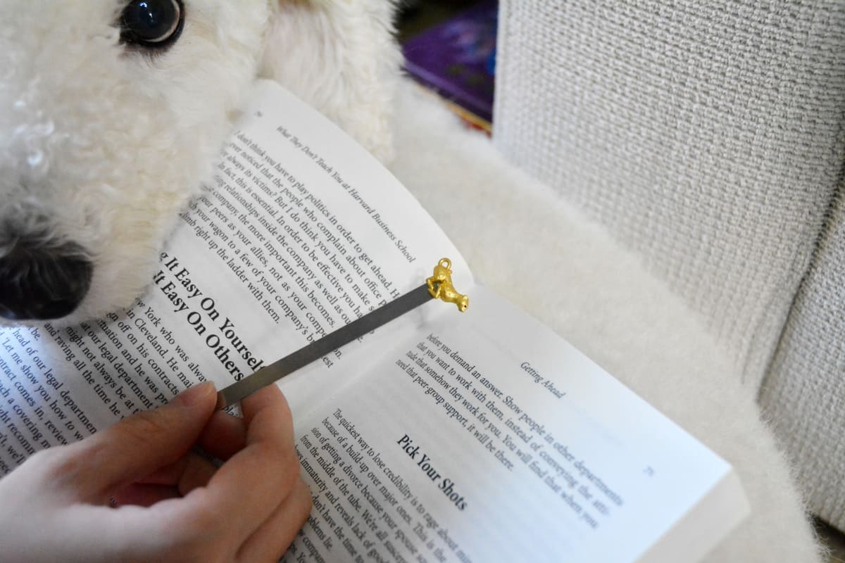 Marcapáginas Metalmorphose Leopardo8