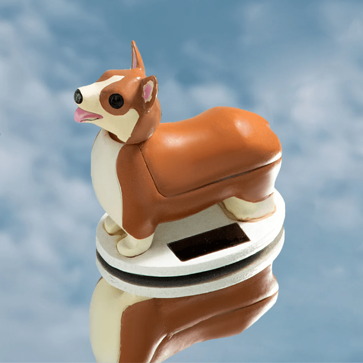 Solar Kikkerland  Elroy Corgi4