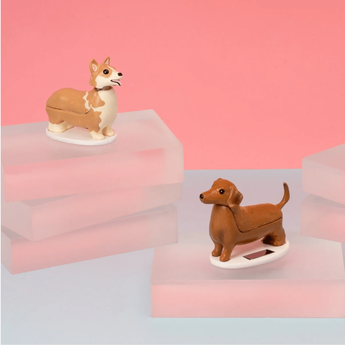 Solar Kikkerland  Elroy Corgi5