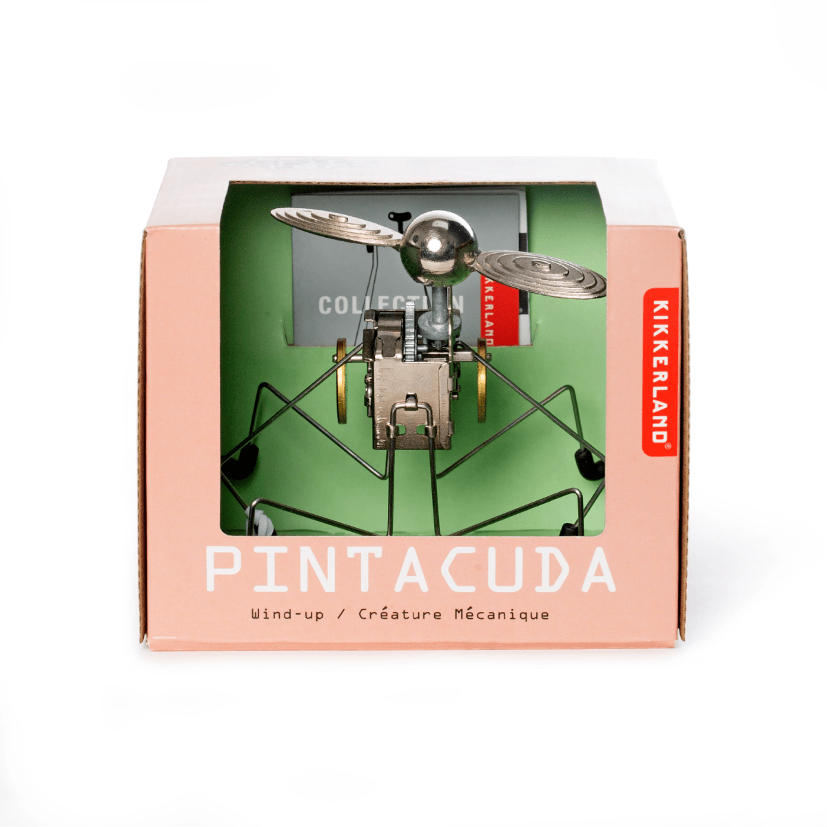 Pintacuda Wind Up Kikkerland4