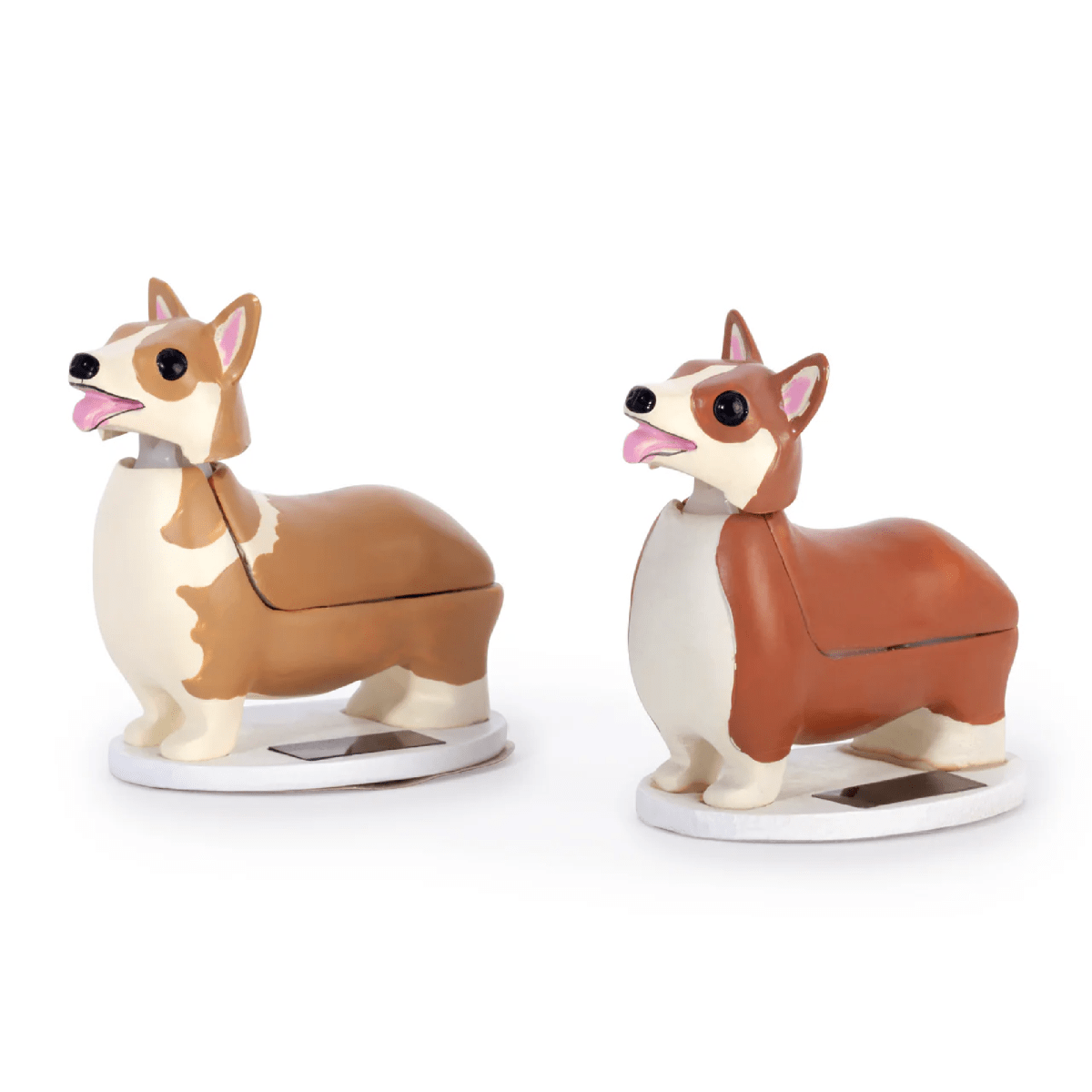 Solar Kikkerland  Elroy Corgi2