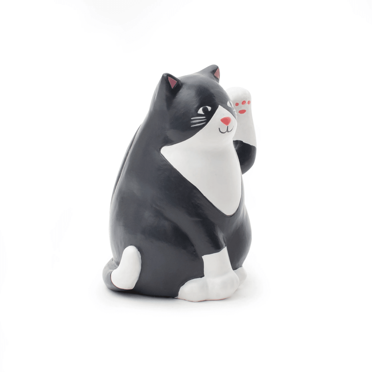 Solar Kikkerland  Cat2