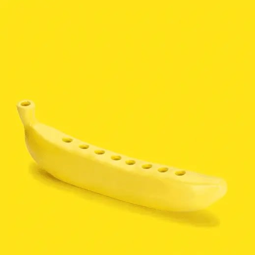 Banorah Kikkerland2