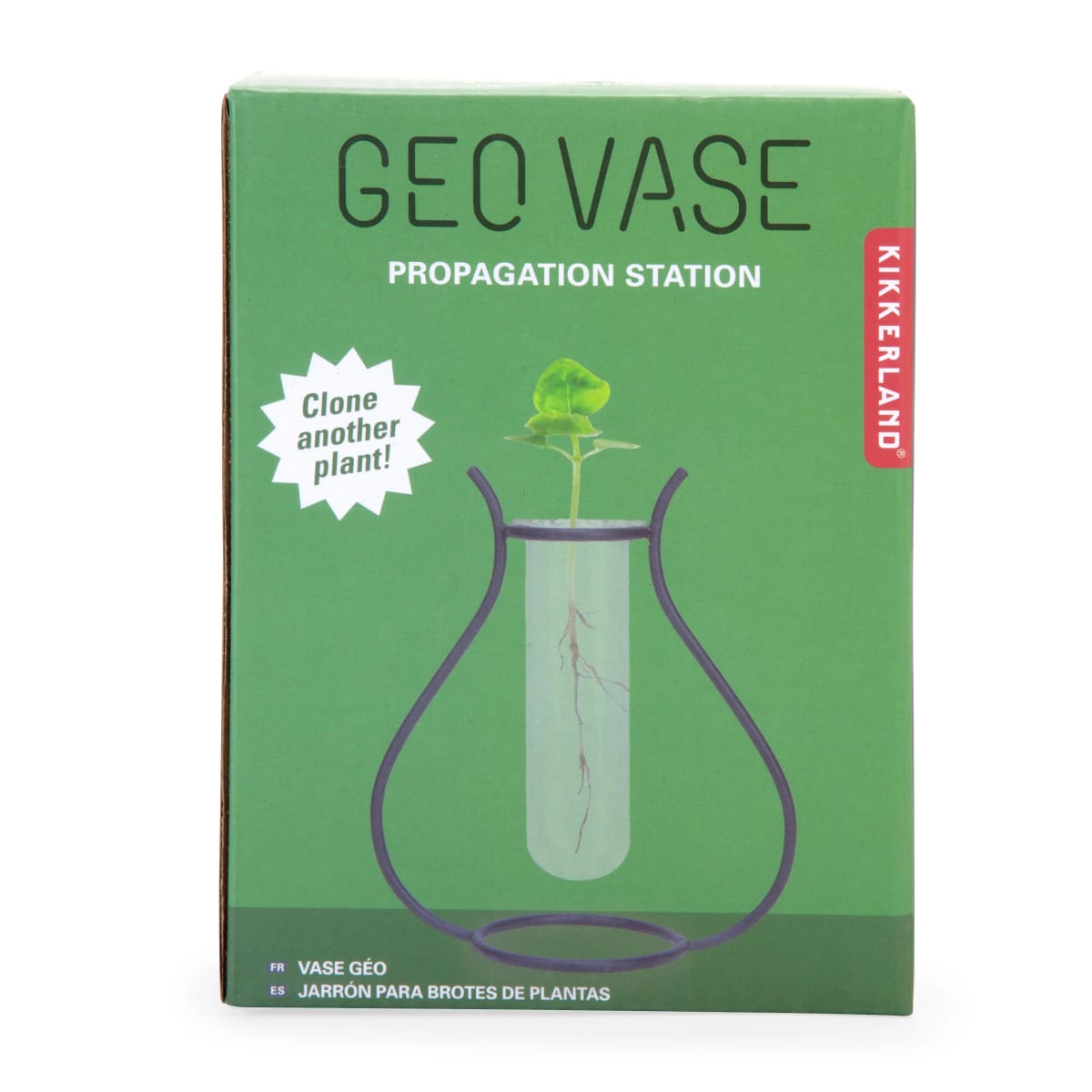 Vaso Kikkerland Geo5