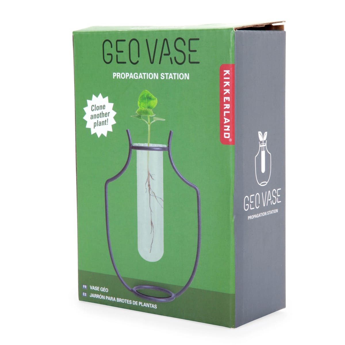 Vaso Kikkerland Geo6