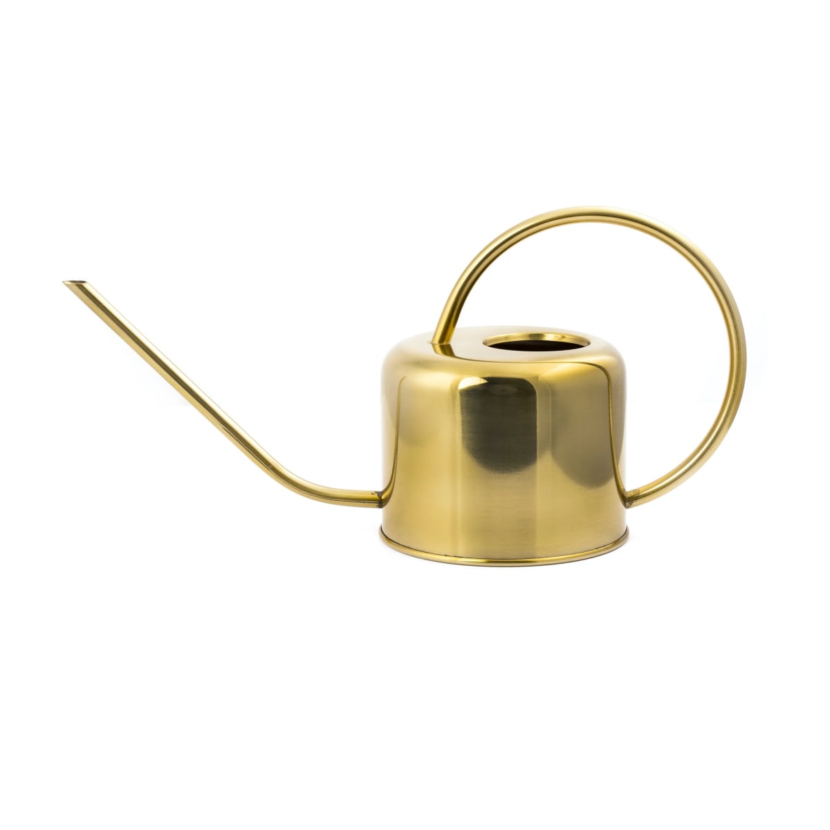Regadera Kikkerland  Vintage2