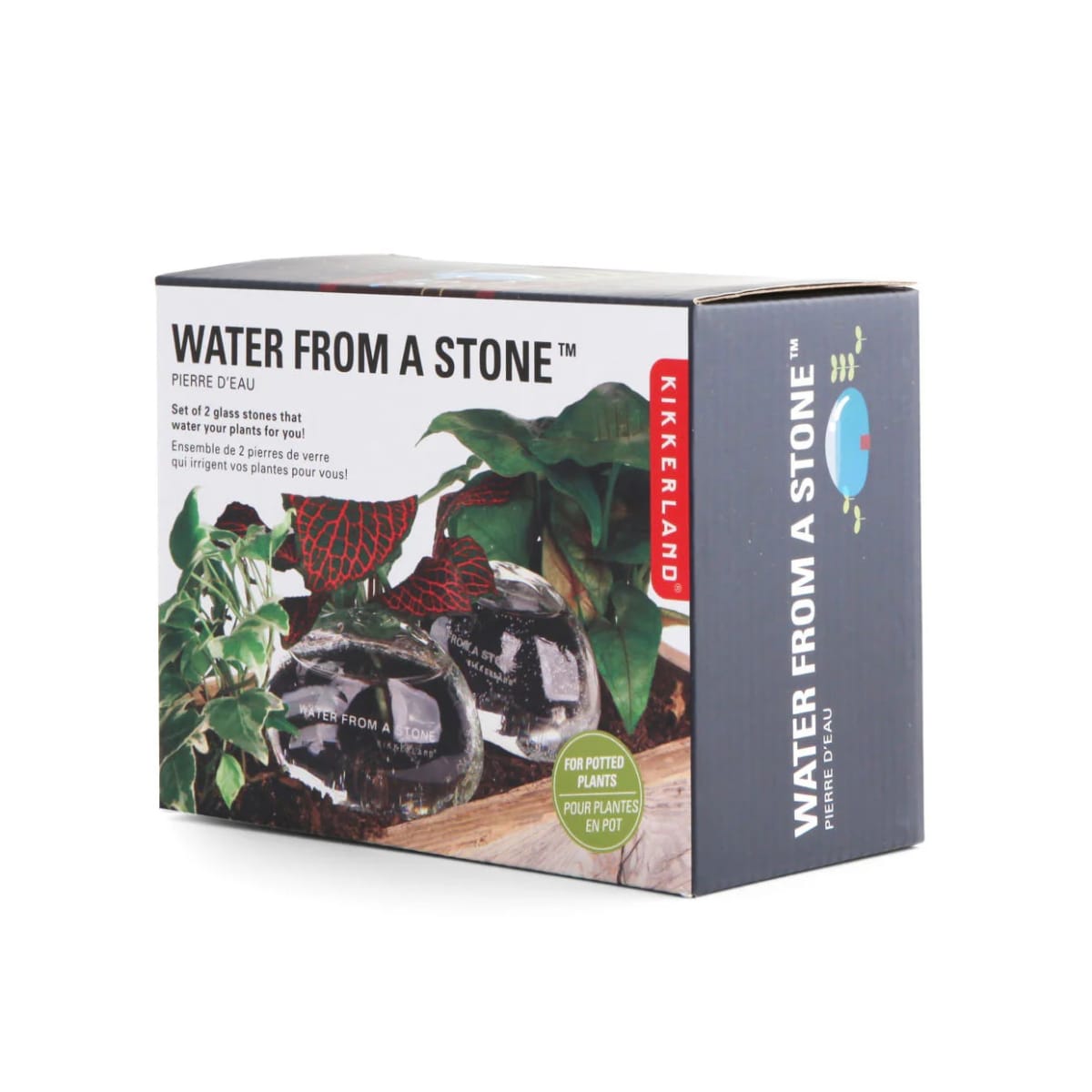 Rocas Kikkerland De Agua Set De 22