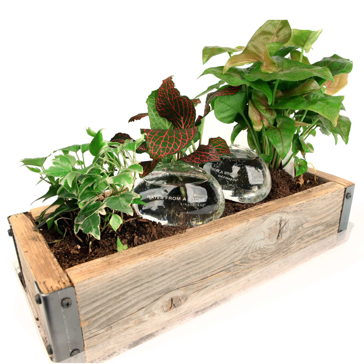 Rocas Kikkerland De Agua Set De 23