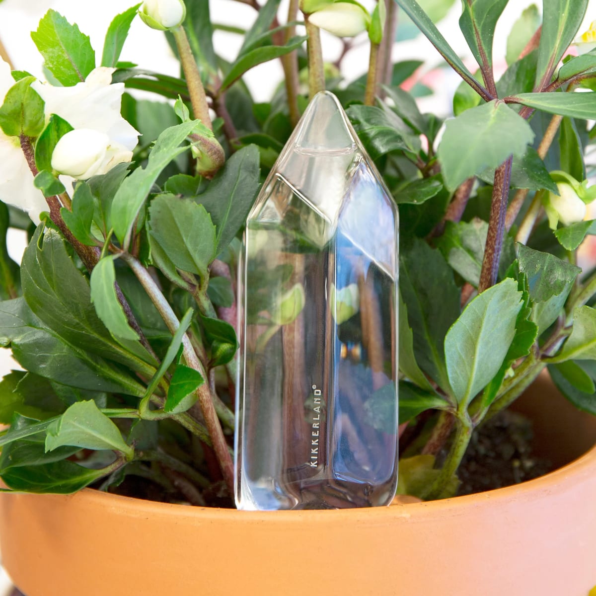 Agua De Un Cristal Kikkerland2