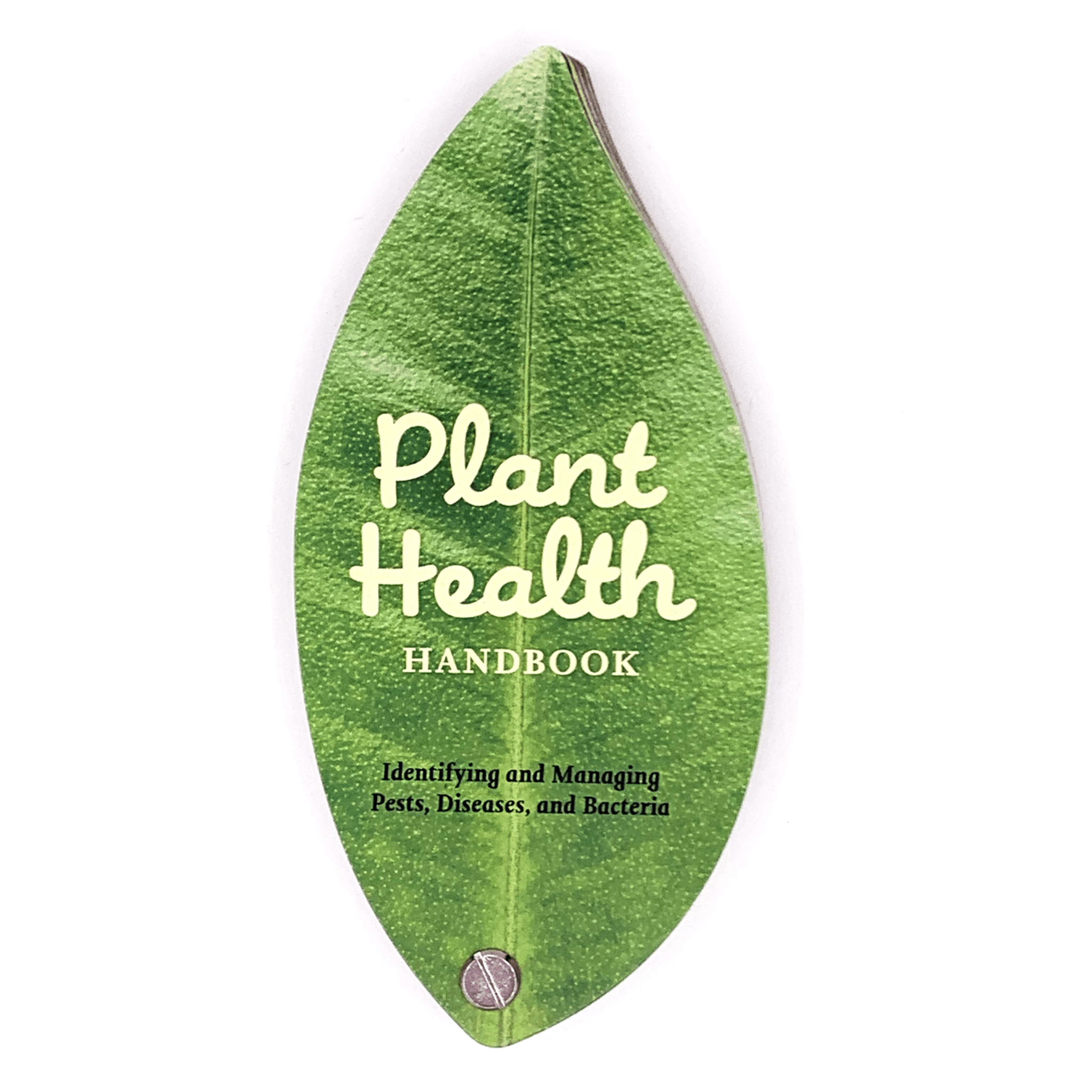 Plantas Kikkerland Saludables