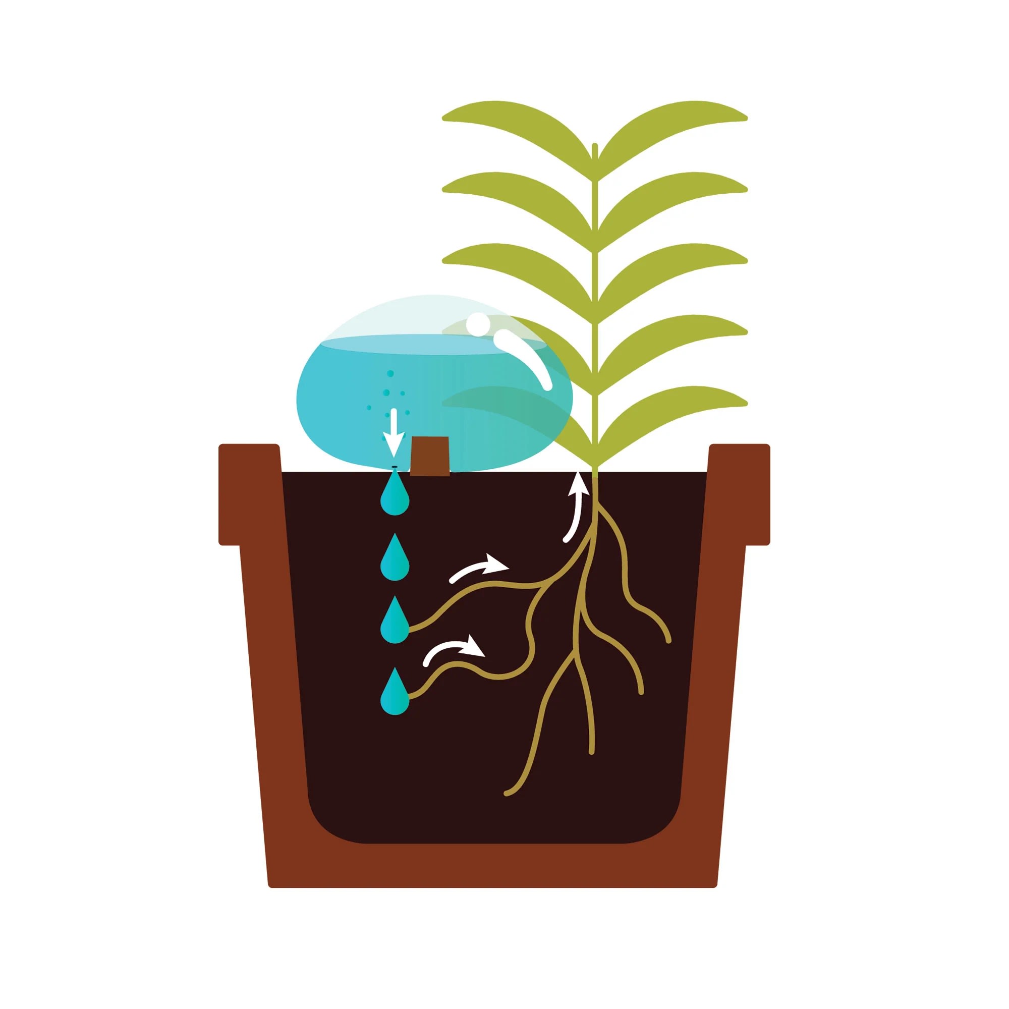 Rocas Kikkerland De Agua Set De 2