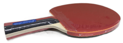 Paleta de Ping Pong Xushaofa 1008