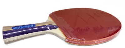 Paleta de Ping Pong Xushaofa 3008