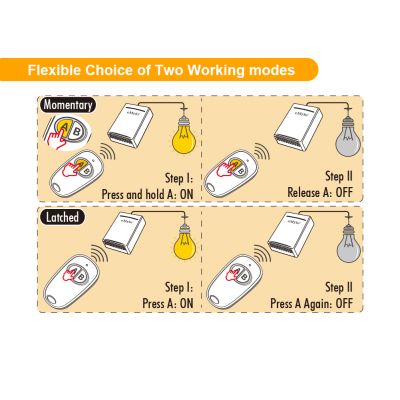 Receptor de señal  2 canales .