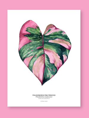 Pink Princess - Fine Art Print