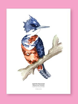 Martín Pescador - Fine Art Print