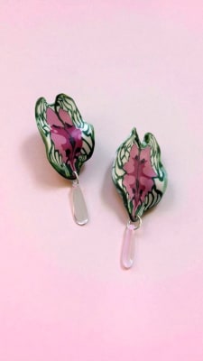Caladium M gota1
