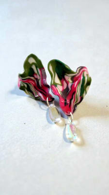 Caladium M