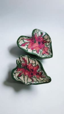 Caladium L