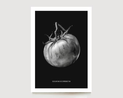 Print Afiche Tomate