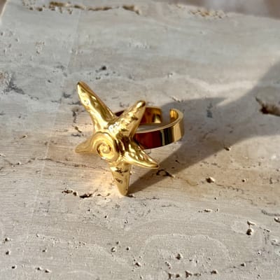 Anillo Mare1