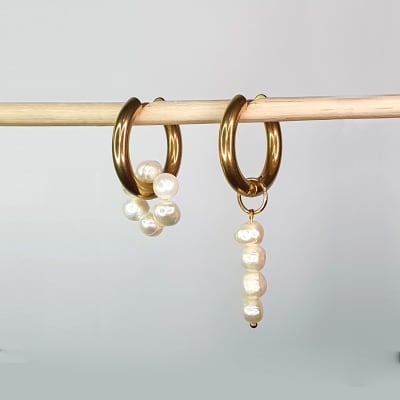 ARGOLLA PERLA VARIEDAD