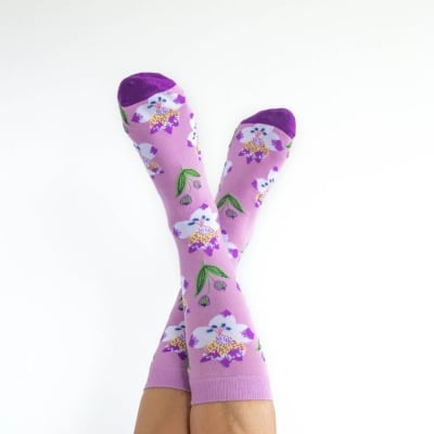 Calcetín Astromelia