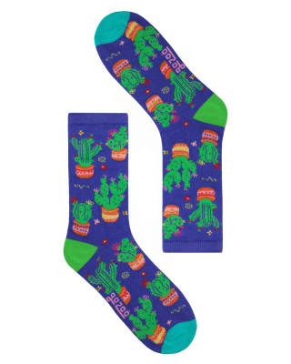 Calcetin Cactus Suculenta1