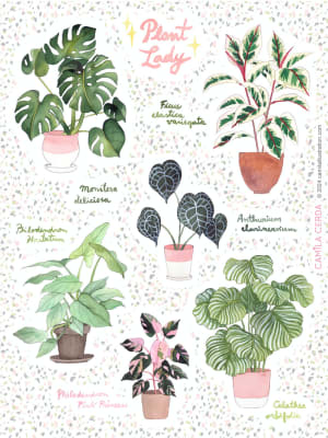 Set sticker camila cerda