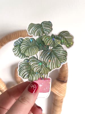 STICKER  CAMILA CERDA2