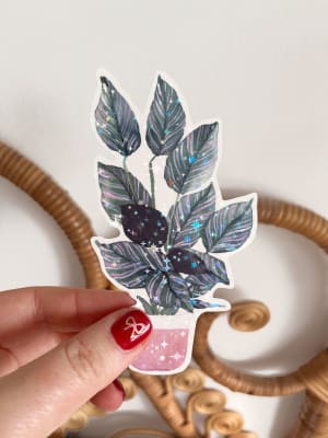Sticker Calathea Ornata1