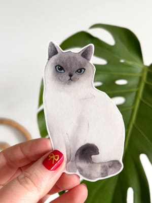 Sticker Blue Colorpoint British