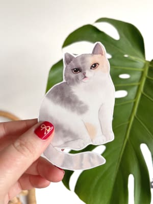 STICKER GATO CC