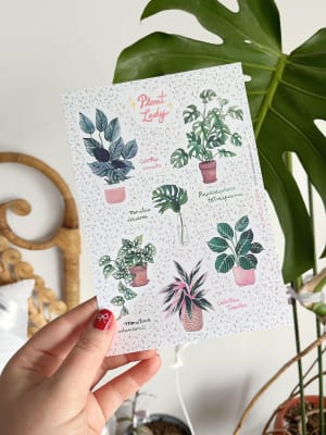 Set stickers Plant Lady 21