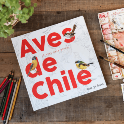 Libro Aves de Chile por MJ Pedraza